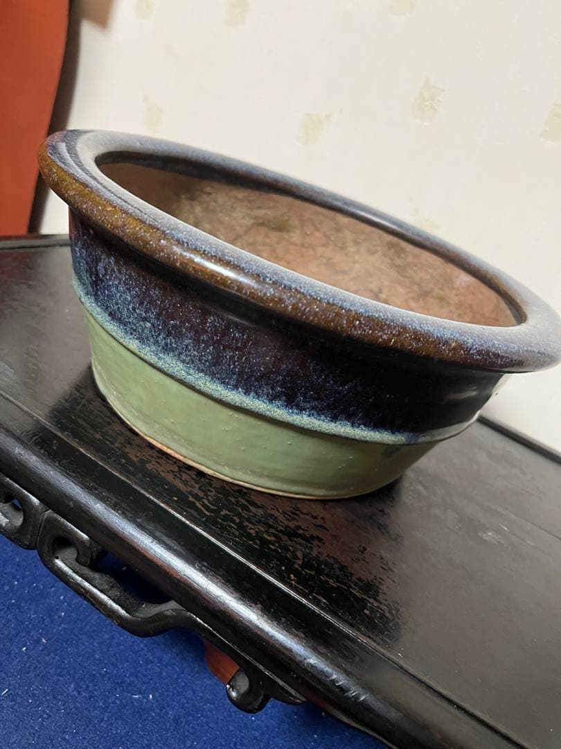 462 盆栽　盆栽鉢　植木鉢　中国鉢　海鼠　ナマコ