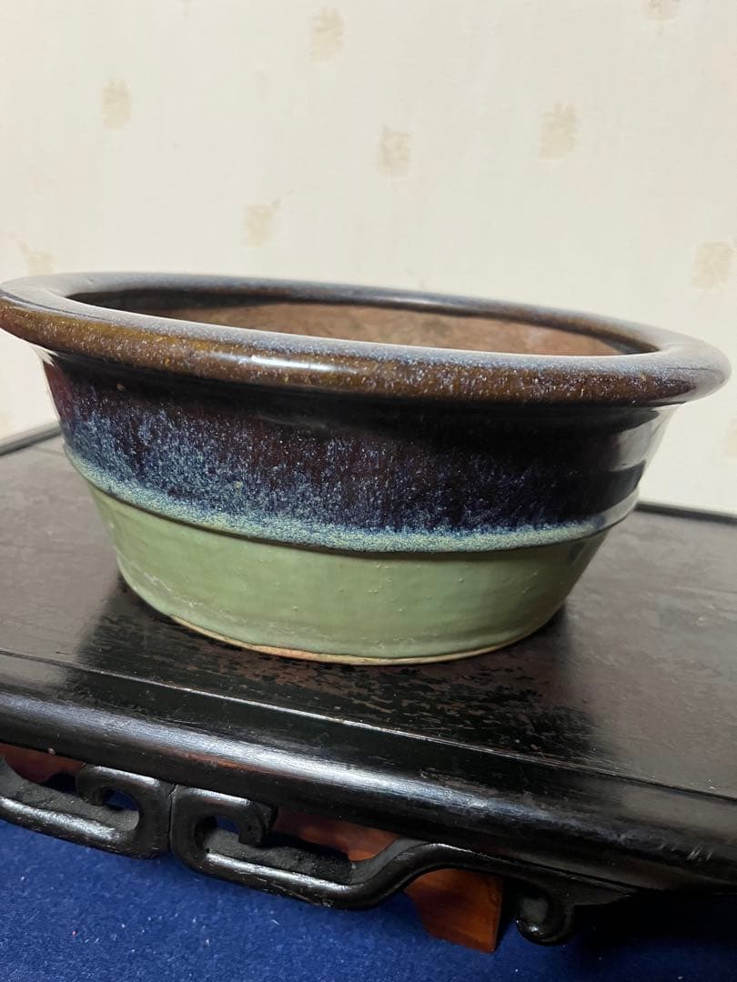 462 盆栽　盆栽鉢　植木鉢　中国鉢　海鼠　ナマコ