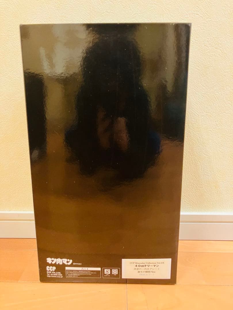【未開封】CCP　キン肉マン　４０ｃｍ　テリーマン　二代目グレート　特別カラー