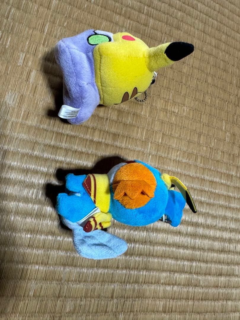 ピカチュウカーニバル　ヌメラ　ミズゴロウ