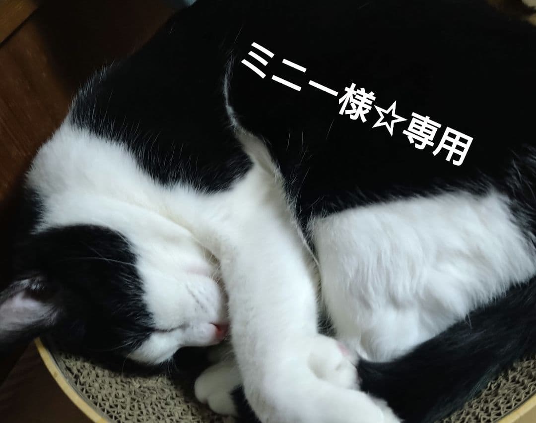 ミニー様☆専用