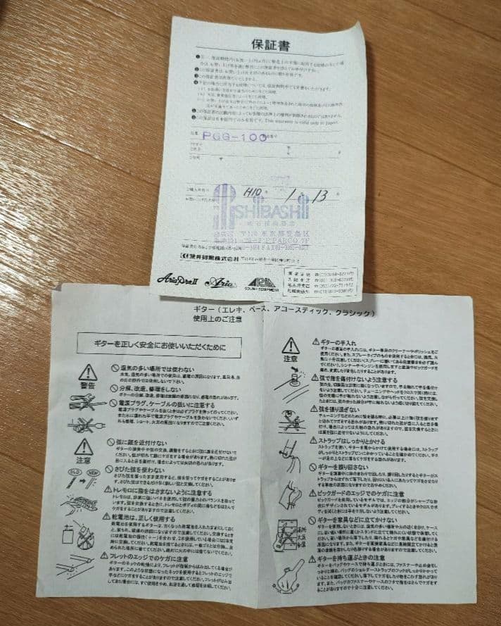 Pignose ピグノーズ PGG-100 アンプ内蔵ギター
