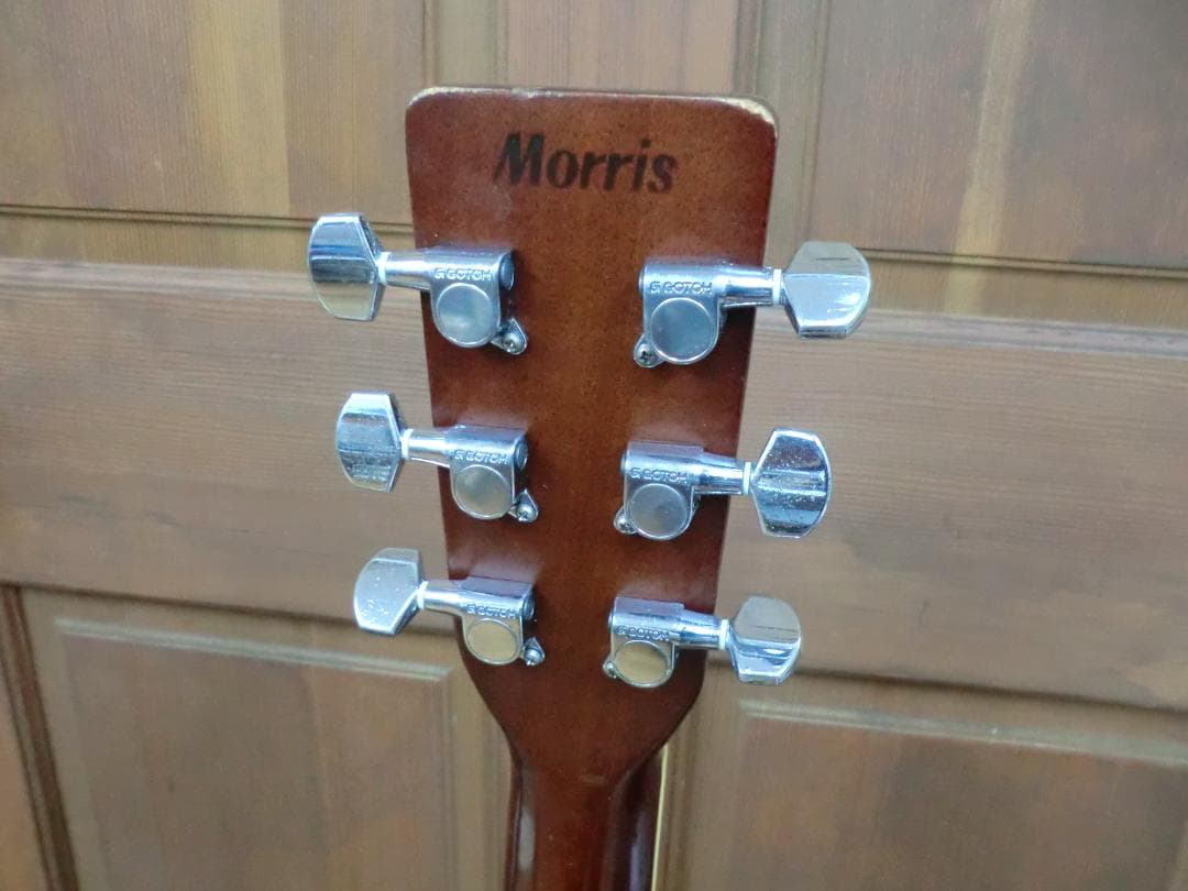ギター Morris MF-40