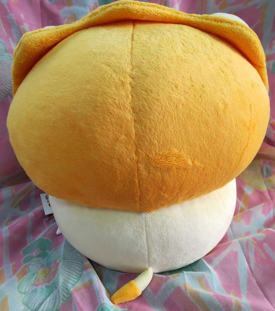 値下げ フリッカ Doぱれっと らいおんのちょこっとレスト まつもと らいおん