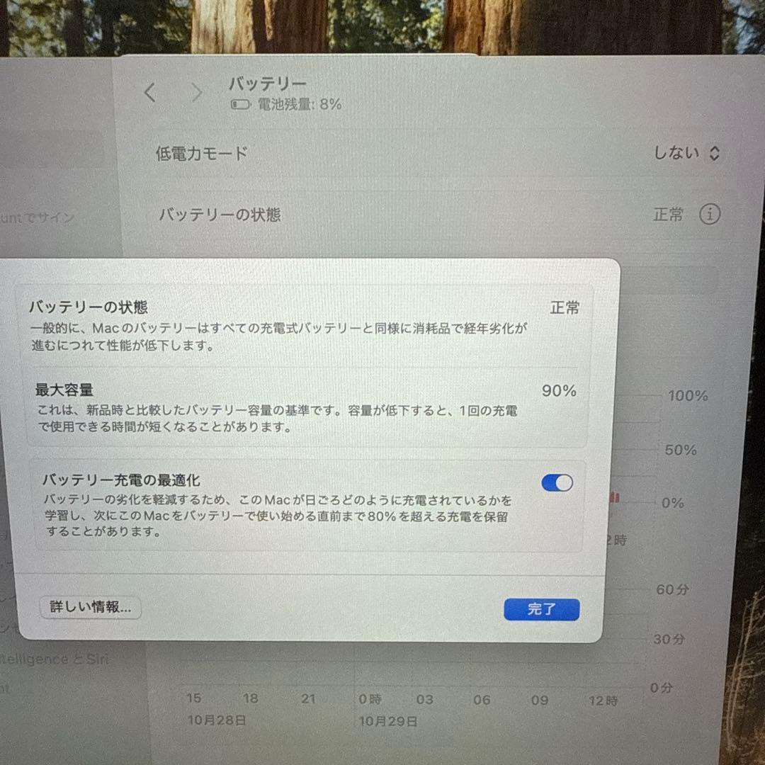 MacBook本体 Apple MacBook Pro M1 13 inch