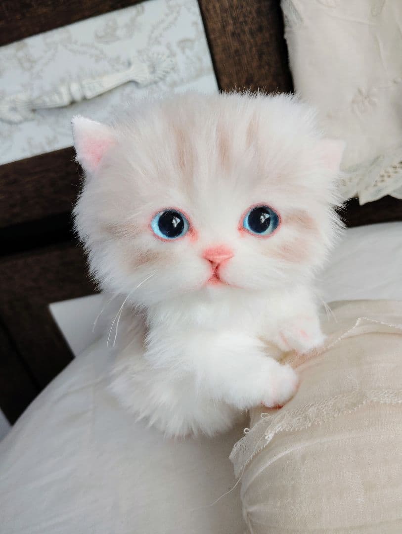 ラピ様御予約❤️よちよちあんよ♡短足ころころボディ♡マンチカン子猫ちゃん♡