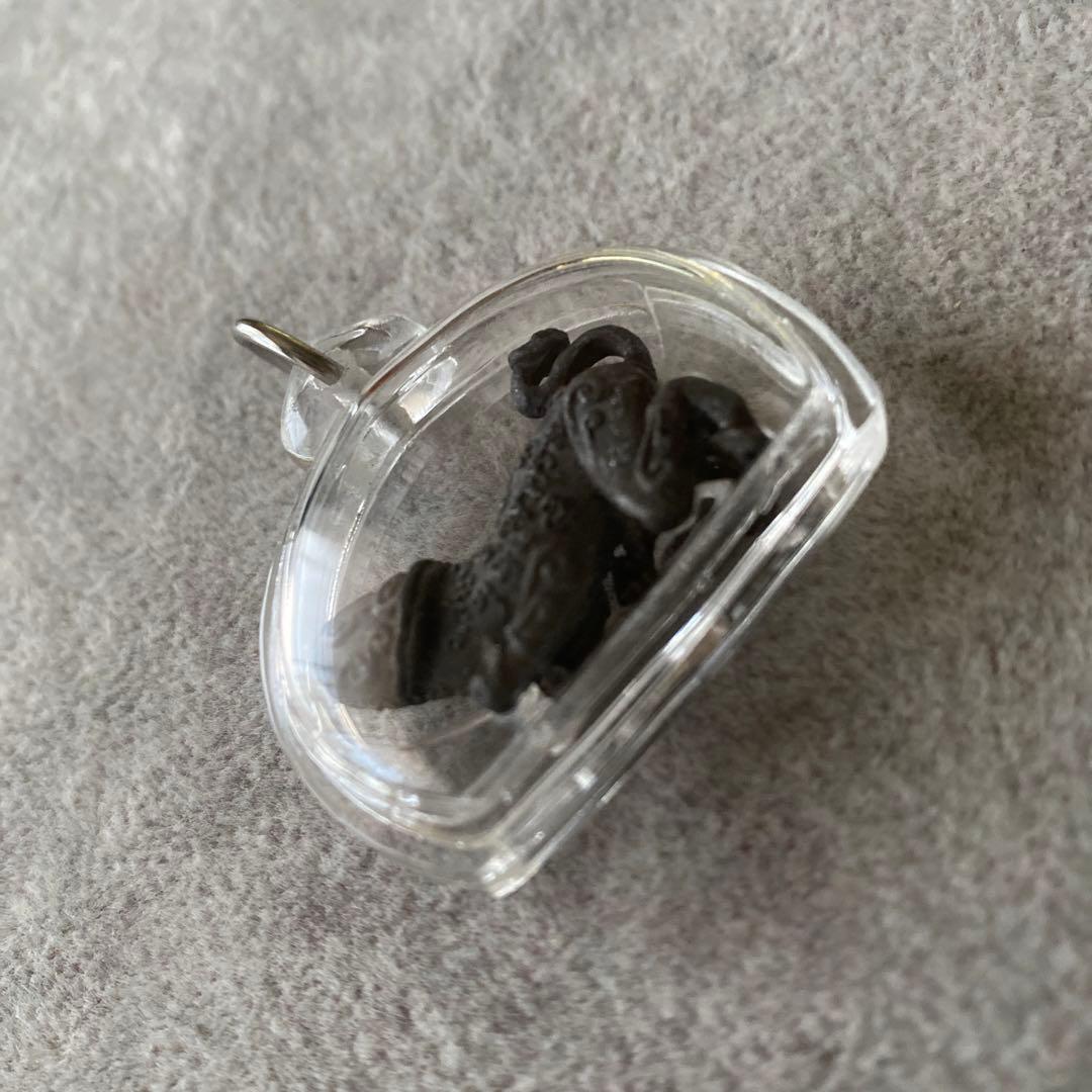 プラクルアン テープパヤトーン レア品 富と開運 子宝 金運 ビジネス 御守り