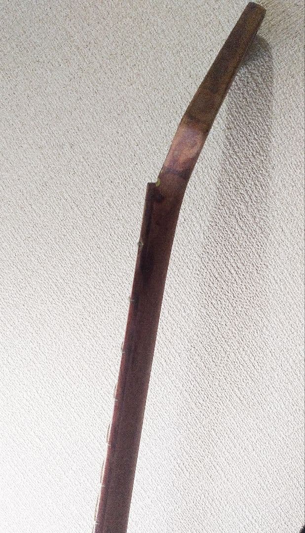 謎ジャンクギター＋大型ハードケース