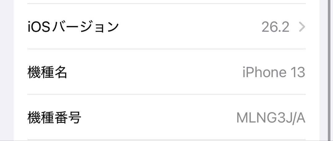 Apple iPhone 13 青 simフリー　128GB