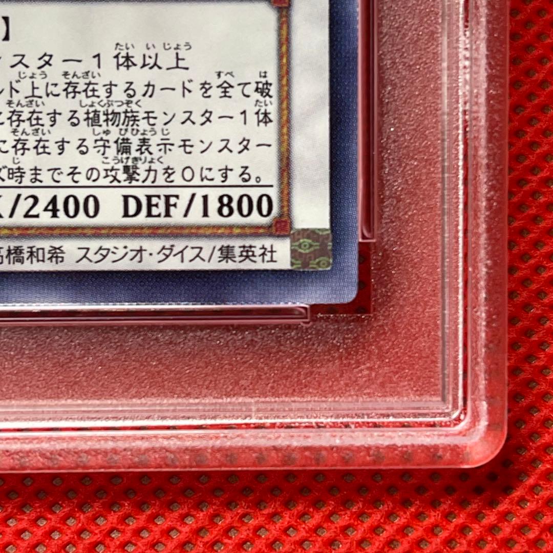 PSA9☆ ブラック・ローズ・ドラゴンホロ ゴーストレア CSOC-JP039