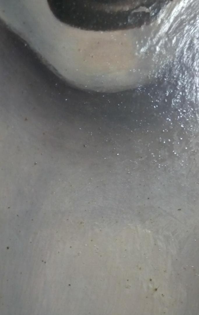 あさのまさひろ真作油彩肉筆10号