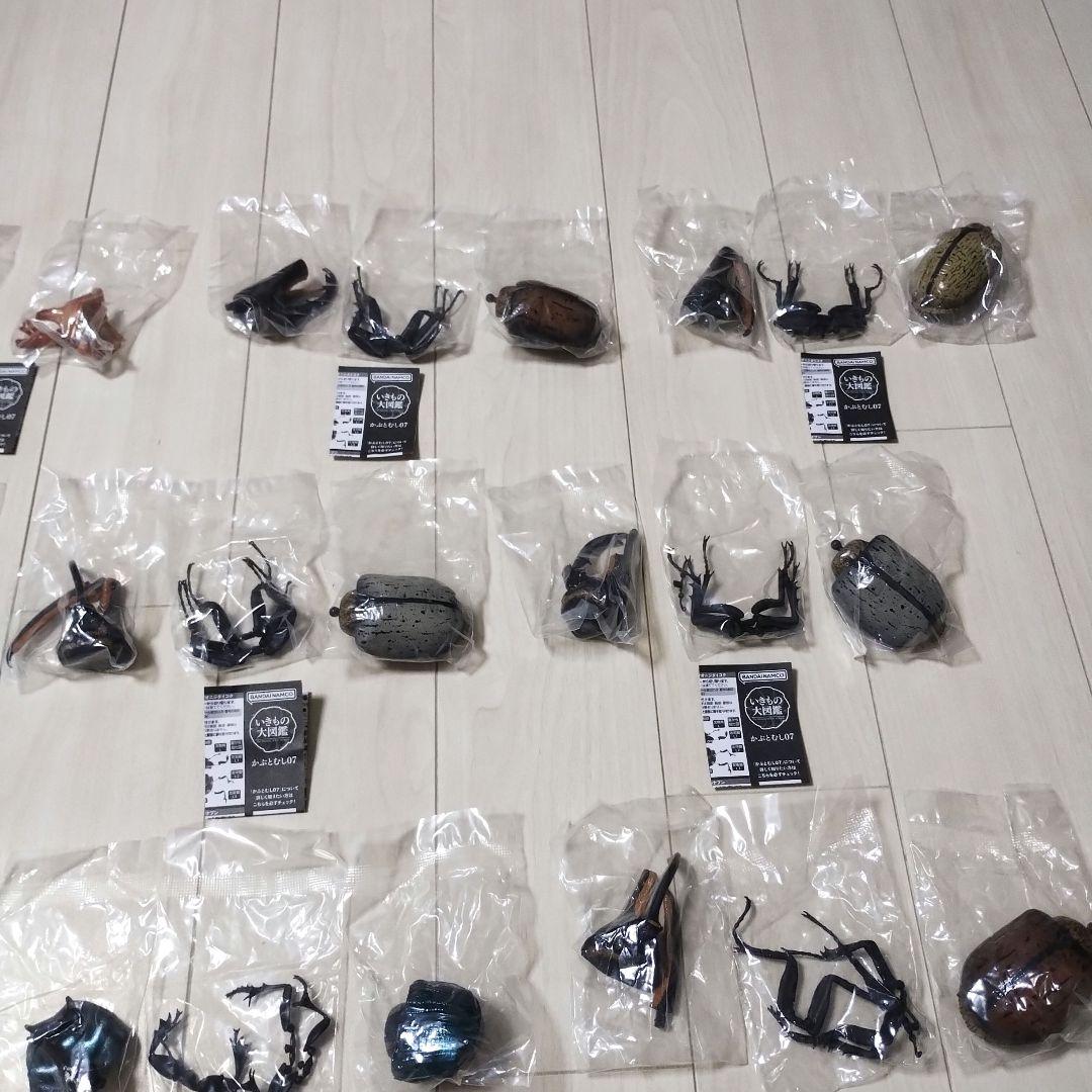 いきもの大図鑑　かぶとむし07　10個セット