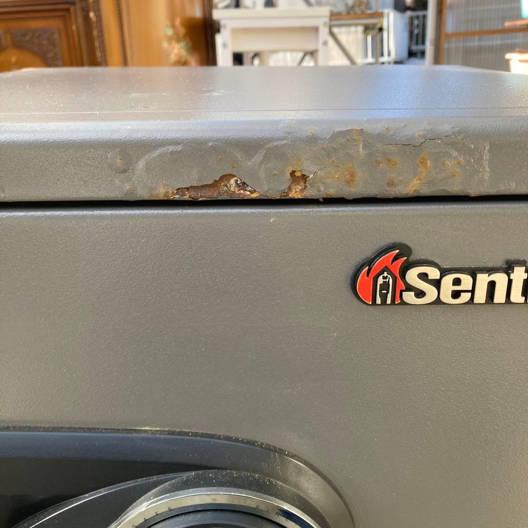 SentrySafe デジタル式 耐火金庫 テンキー式 AW-569725