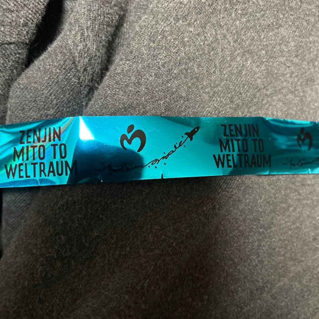 Mrs. GREEN APPLE ゼンジン ライトバンド バベル使用可