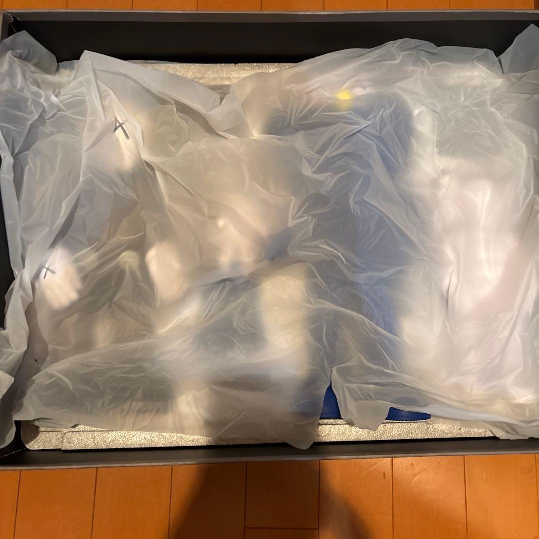 その他 KAWS family brown