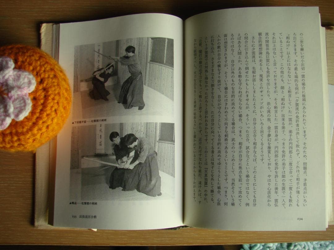 武術談義　甲野善紀　黒田鉄山