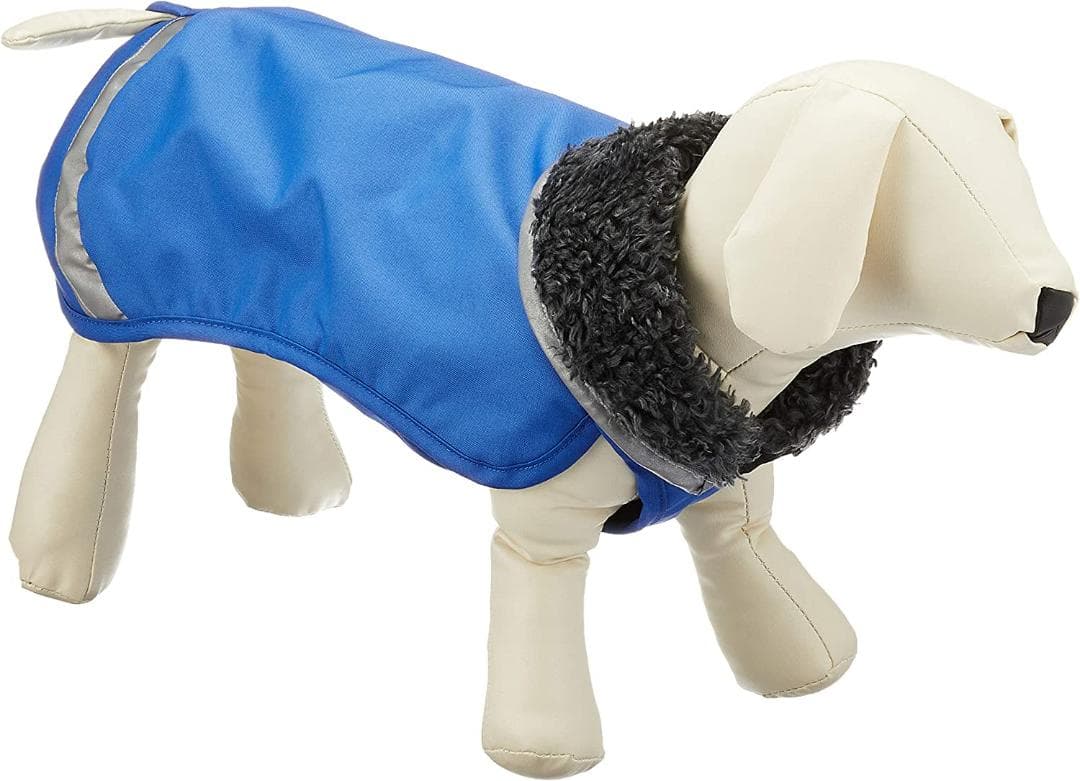 ポムッパ　ペルス　ペトロール　サイズ85