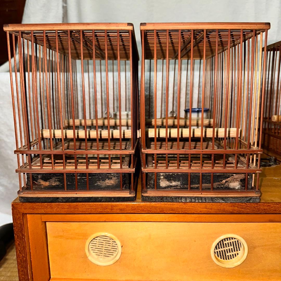 手作りメジロ籠4カゴ&手作りメジロ寝かせ箱のセット‼️