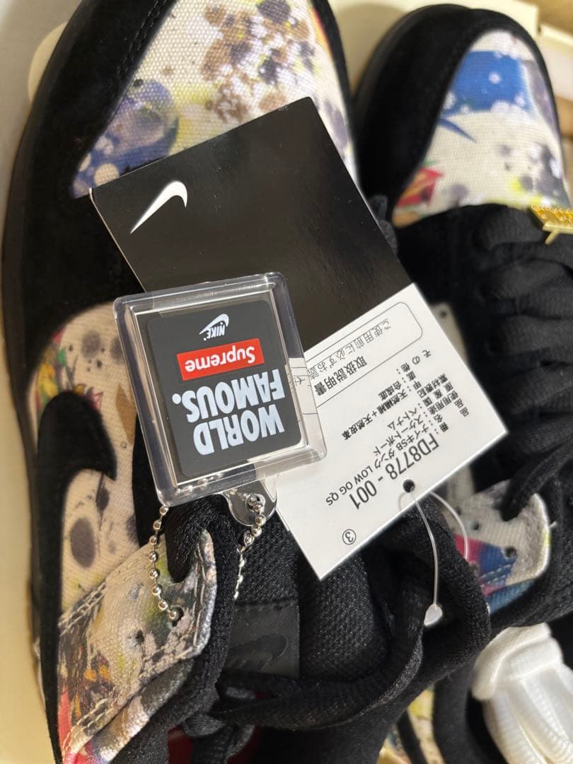 Supreme × Nike SB Dunk Low \"Rammellzee\"