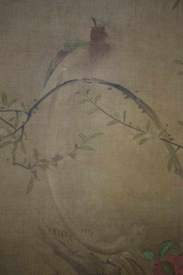 模写/熊代熊斐/椿に小禽図/布袋屋掛軸HI-946