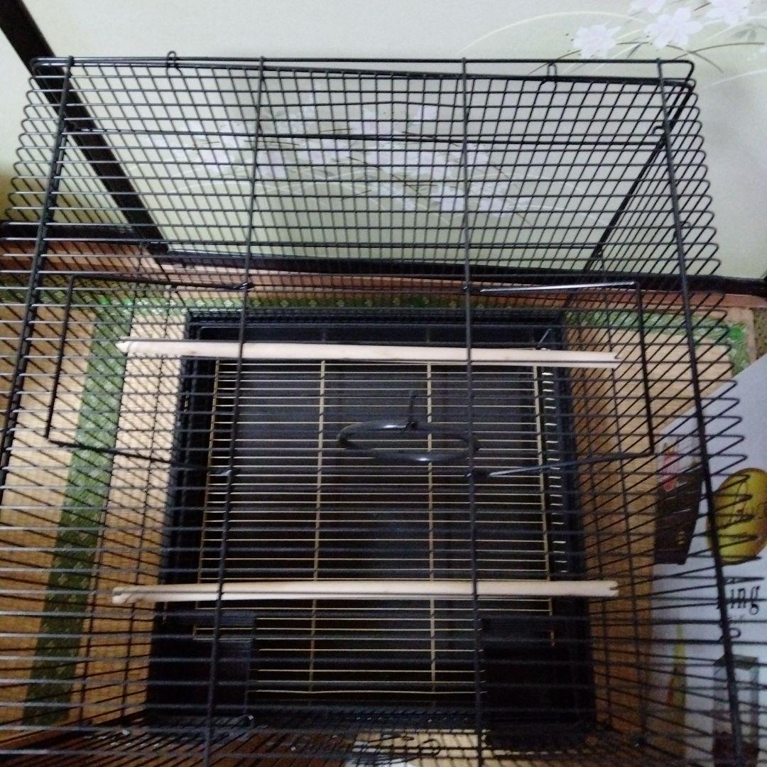 未使用　マルカン　バードパレスキング2台