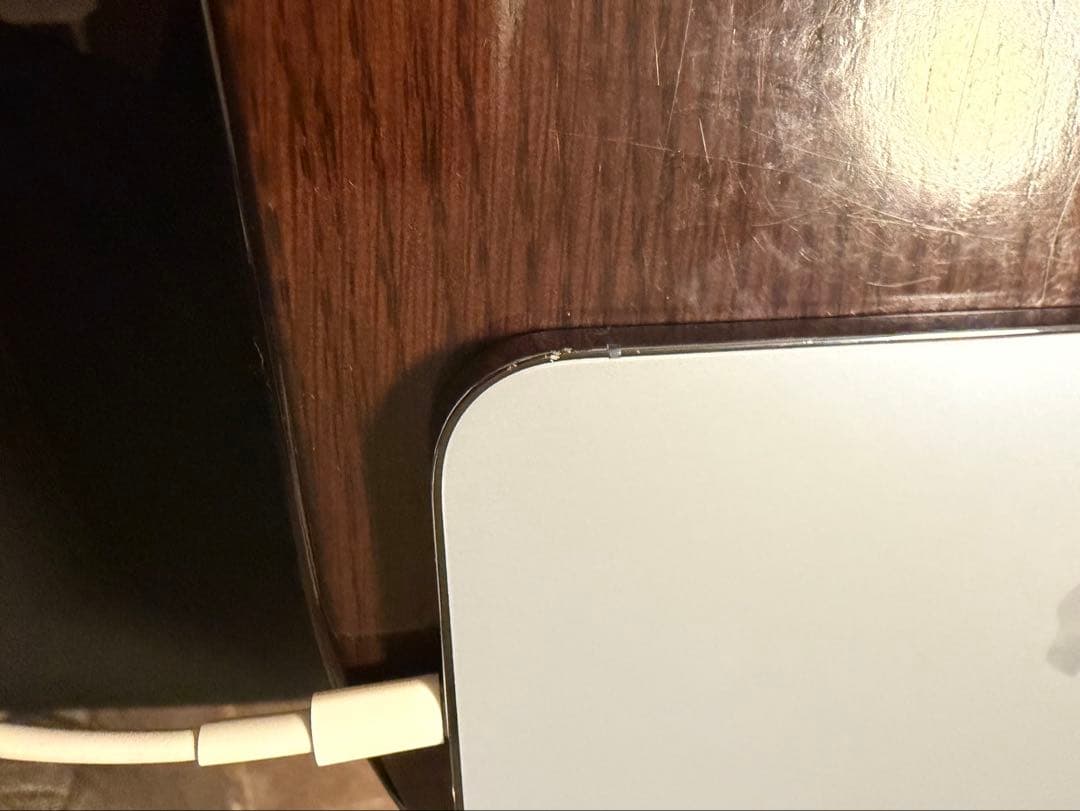 Apple iPhone 13 Pro Max 1tb シエラブルー