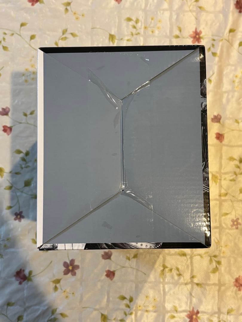 一番くじ ゴジラ 怪獣乱舞 -荒ぶるモノ- D賞