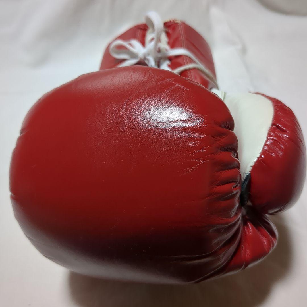 レイジェス　ボクシンググローブ　赤　10oz　プロファイト用　中古品