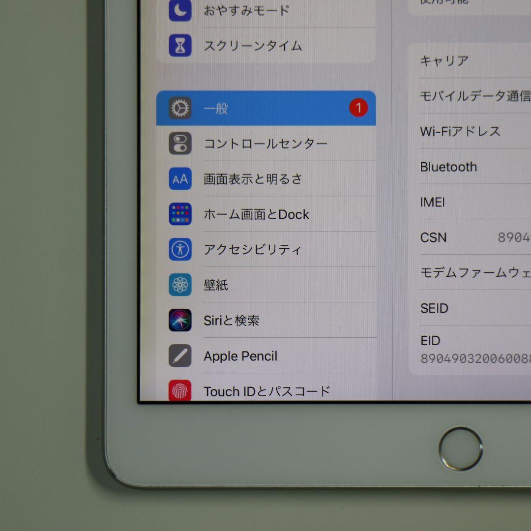 【画面焼け】iPad (第8世代) 32GB WiFi+Cellular