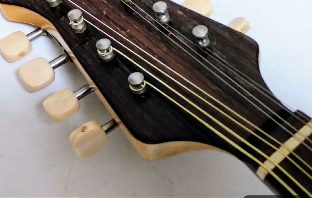 マンドリン ケース付き