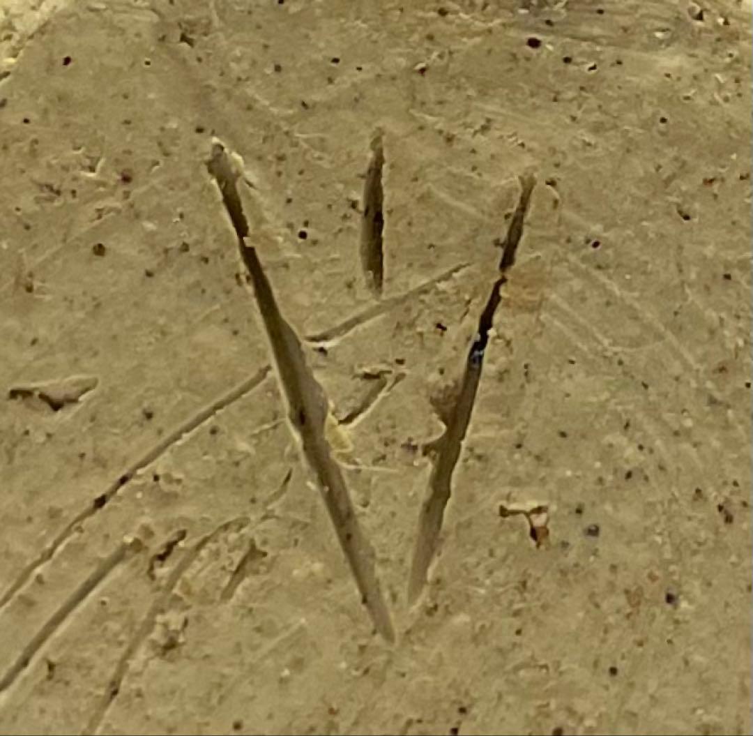 人間国宝　伊勢崎淳　備前緋襷徳利　備前焼　共箱(四方桟盛蓋) 栞　d1194