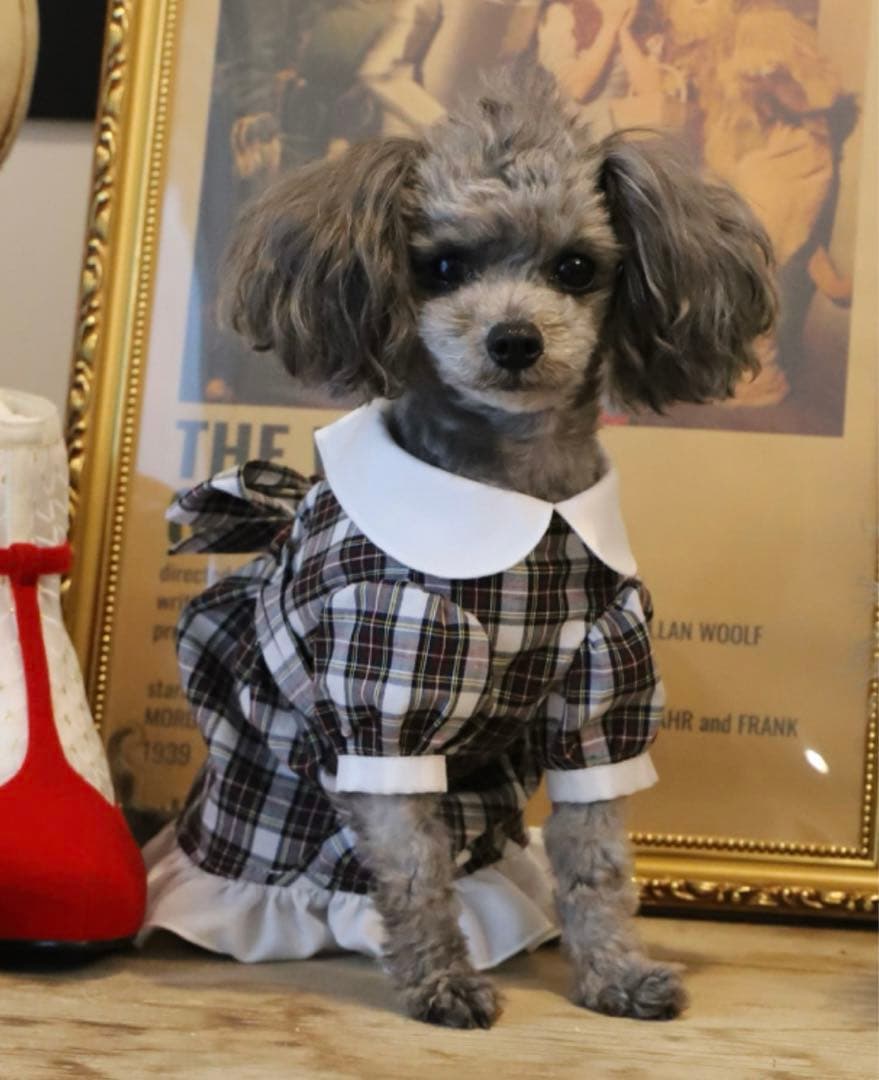 アトリエgg ドロシー　16