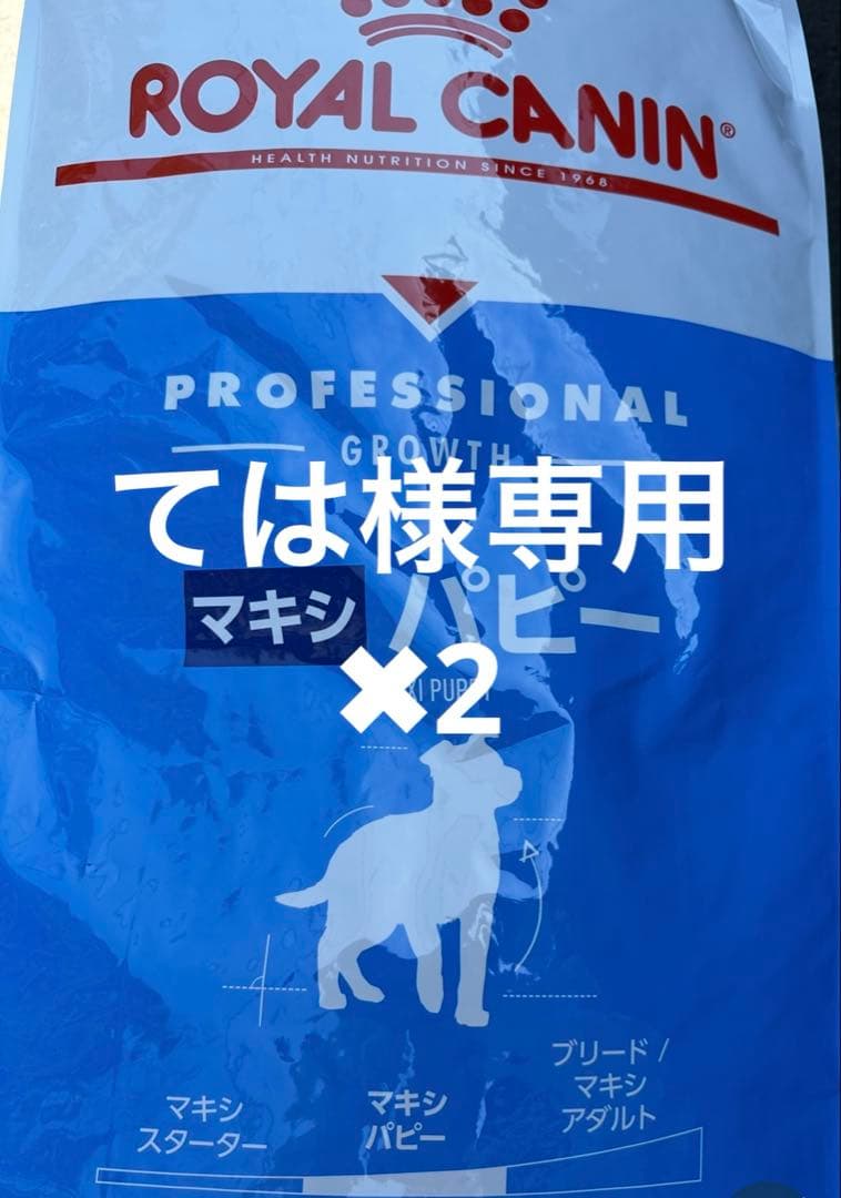  CANIN マキシ パピー ドッグフード16キロ