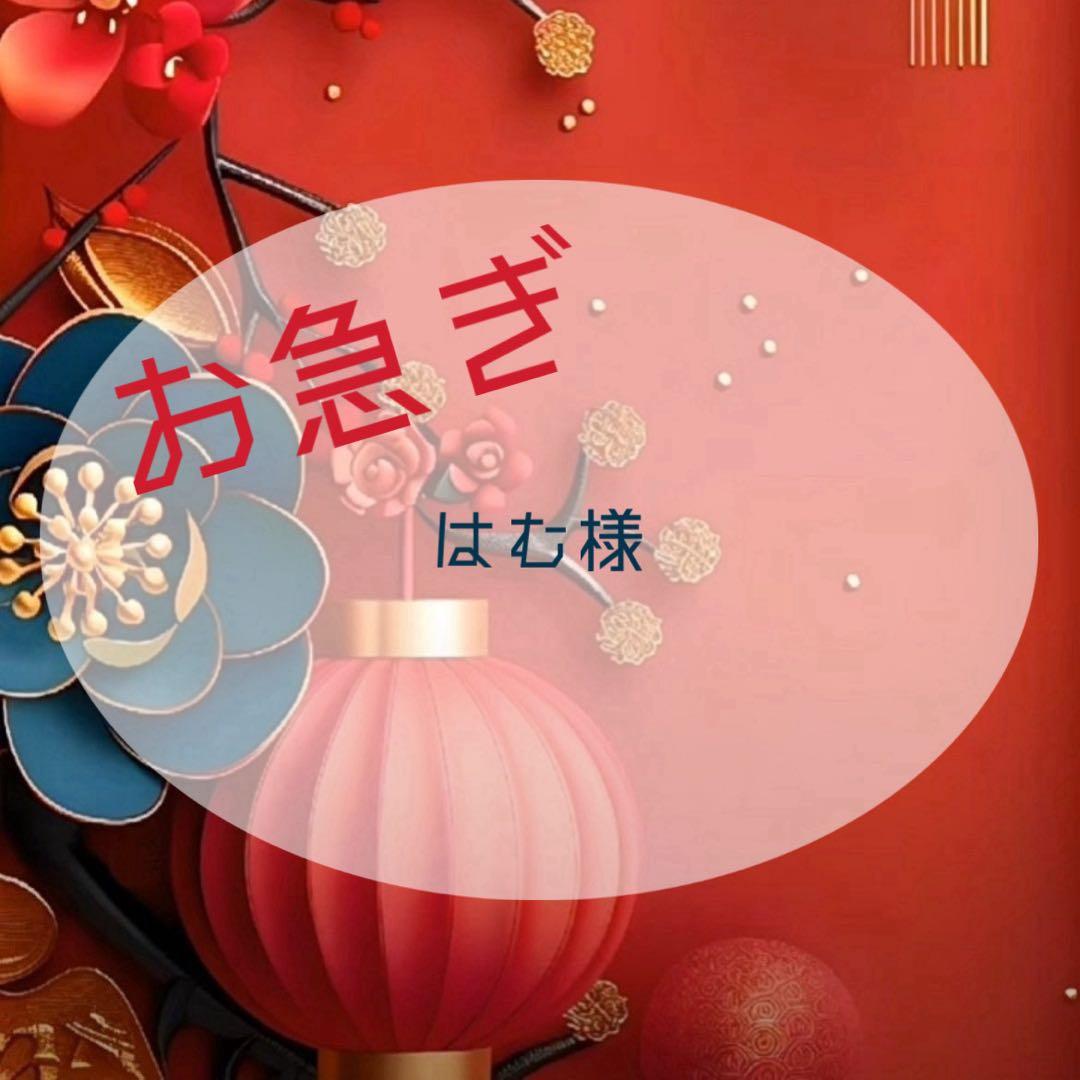 【お急ぎ】はむ様ig