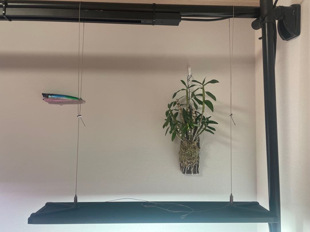 wRGB Slim 60 LEDライト　ハンギングキット付き　ほぼ未使用