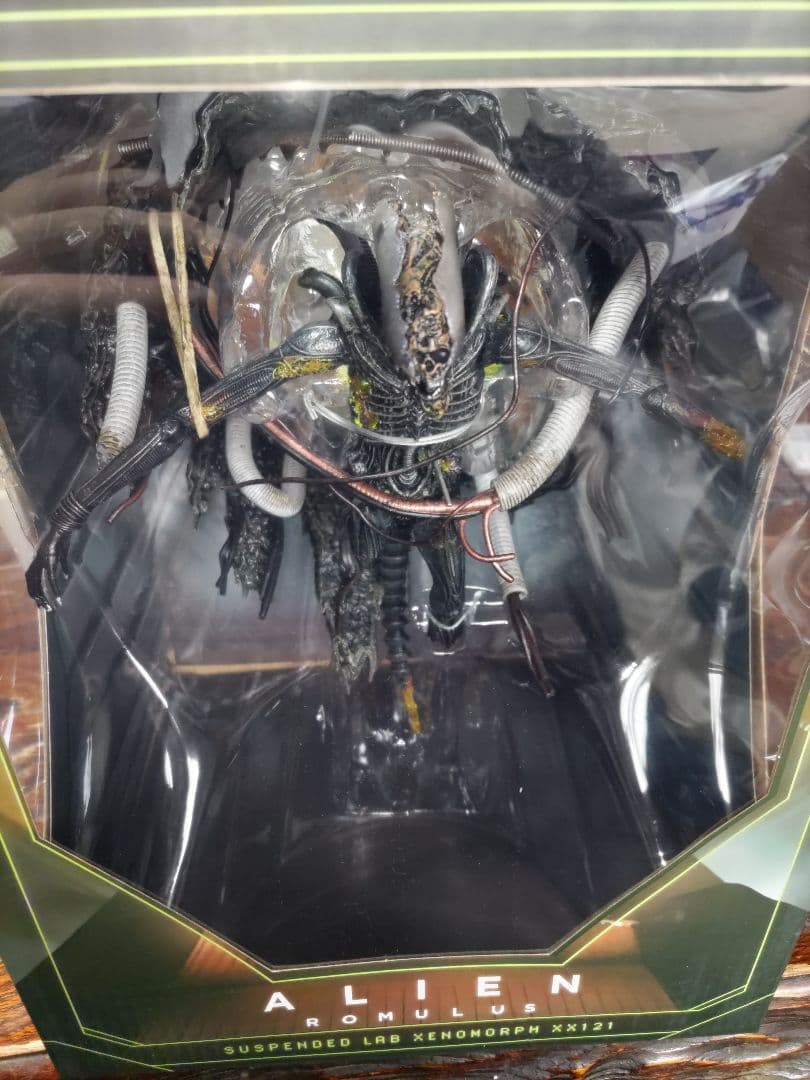 y*a様 NECA　ネカ　サスペンデッド・ラボ・ゼノモーフ　エイリアンロムルス