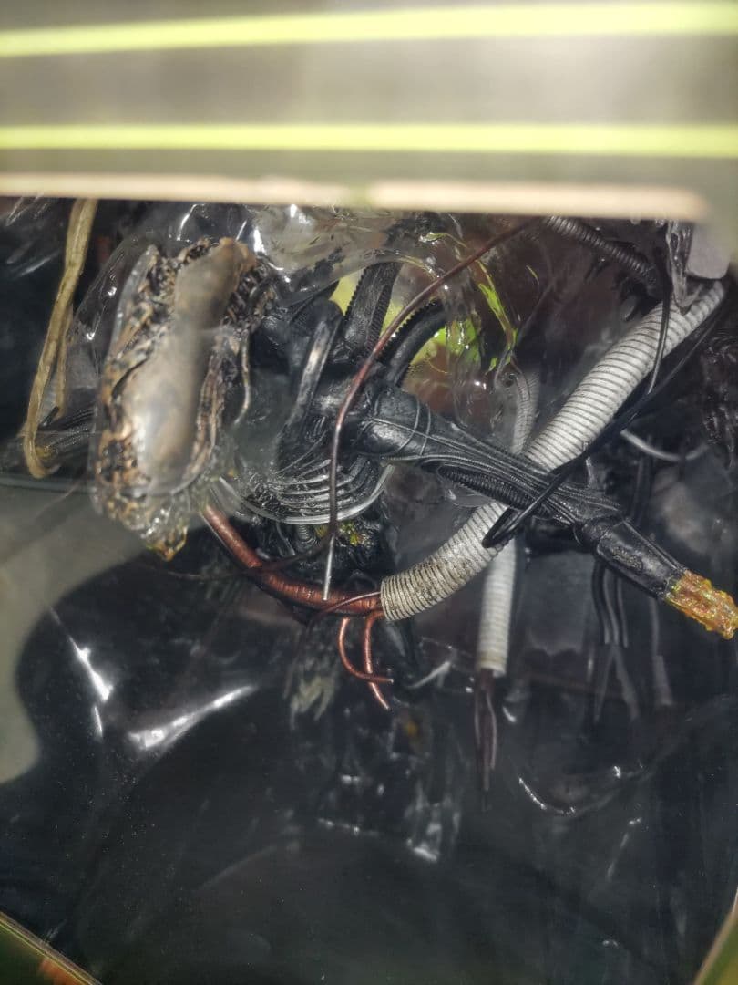 y*a様 NECA　ネカ　サスペンデッド・ラボ・ゼノモーフ　エイリアンロムルス