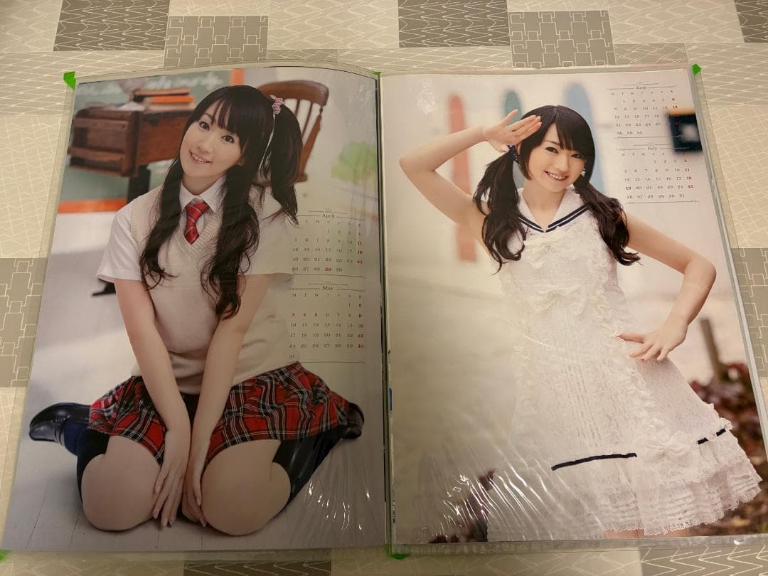 B2ポスターギャラリー（封入シート10枚）+水樹奈々ポスター多数