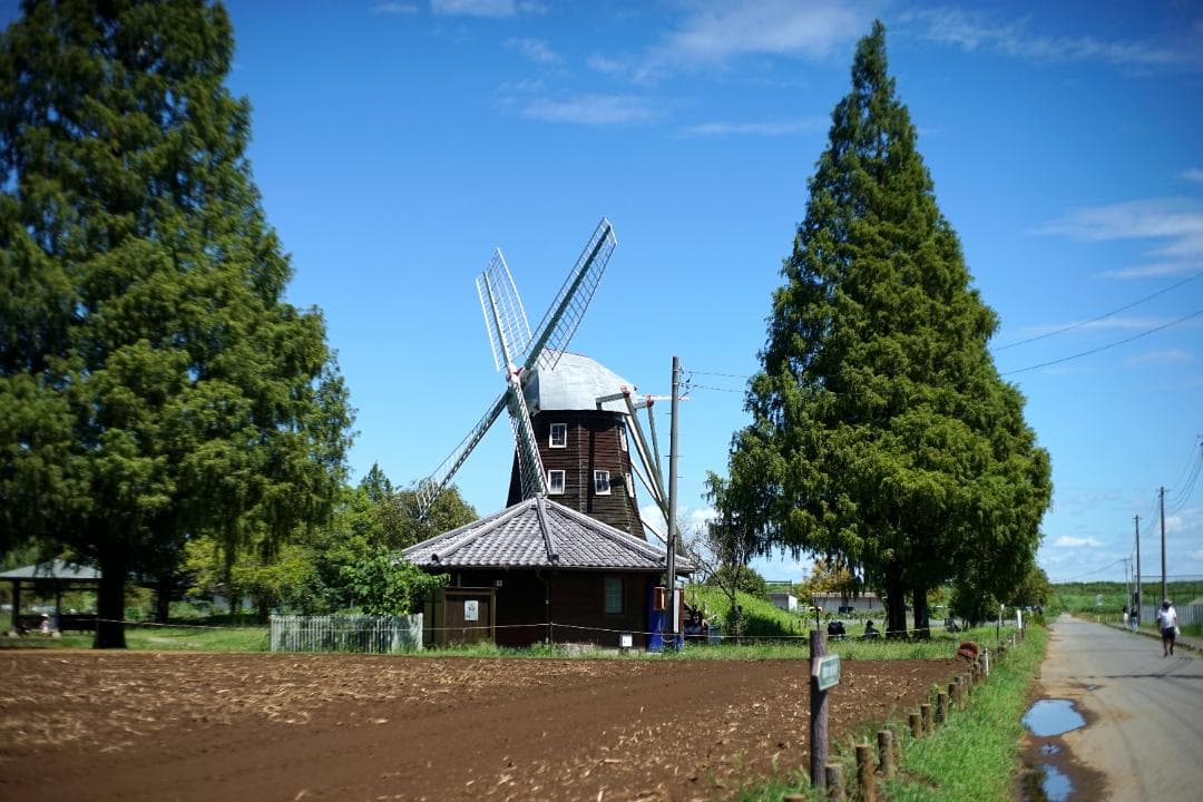 RICOH XR RIKENON 50mm f2 L Kマウント 整備済 完動品