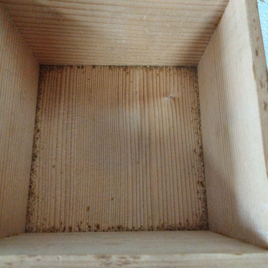 赤楽　寿楽　桐山　茶道　抹茶茶碗　共箱