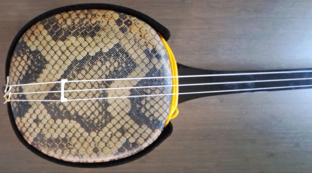 美品 沖縄三線 初心者フルセット 和楽器