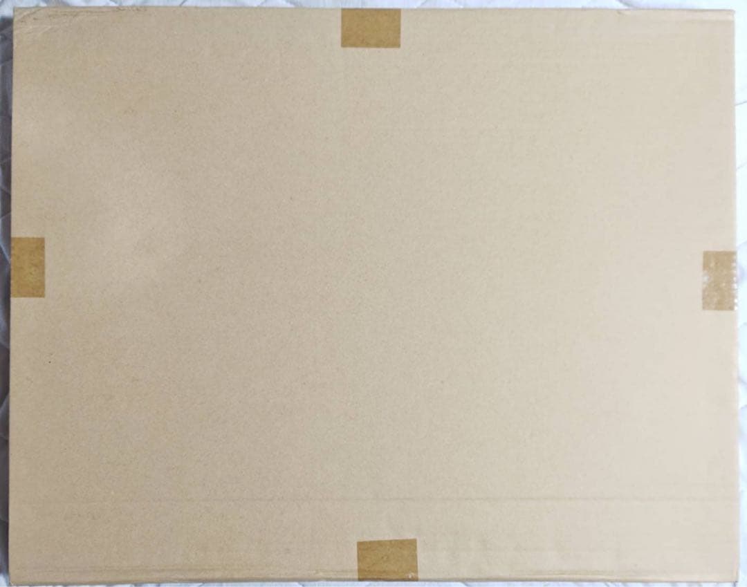 karory 10th ANNIVERSARY 直筆サイン入り 複製原画