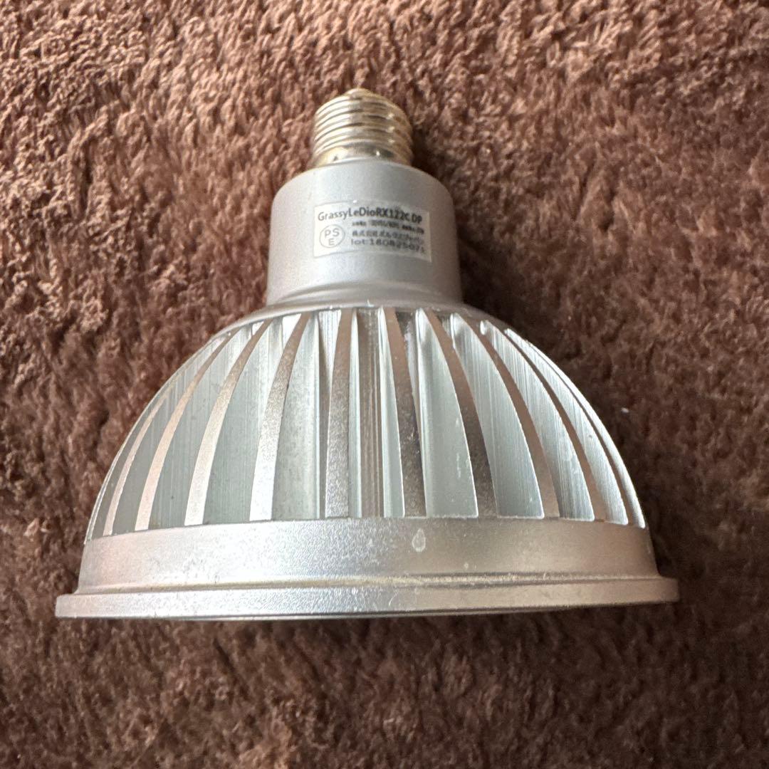 Grassy LeDioRX122c.DP 交換球