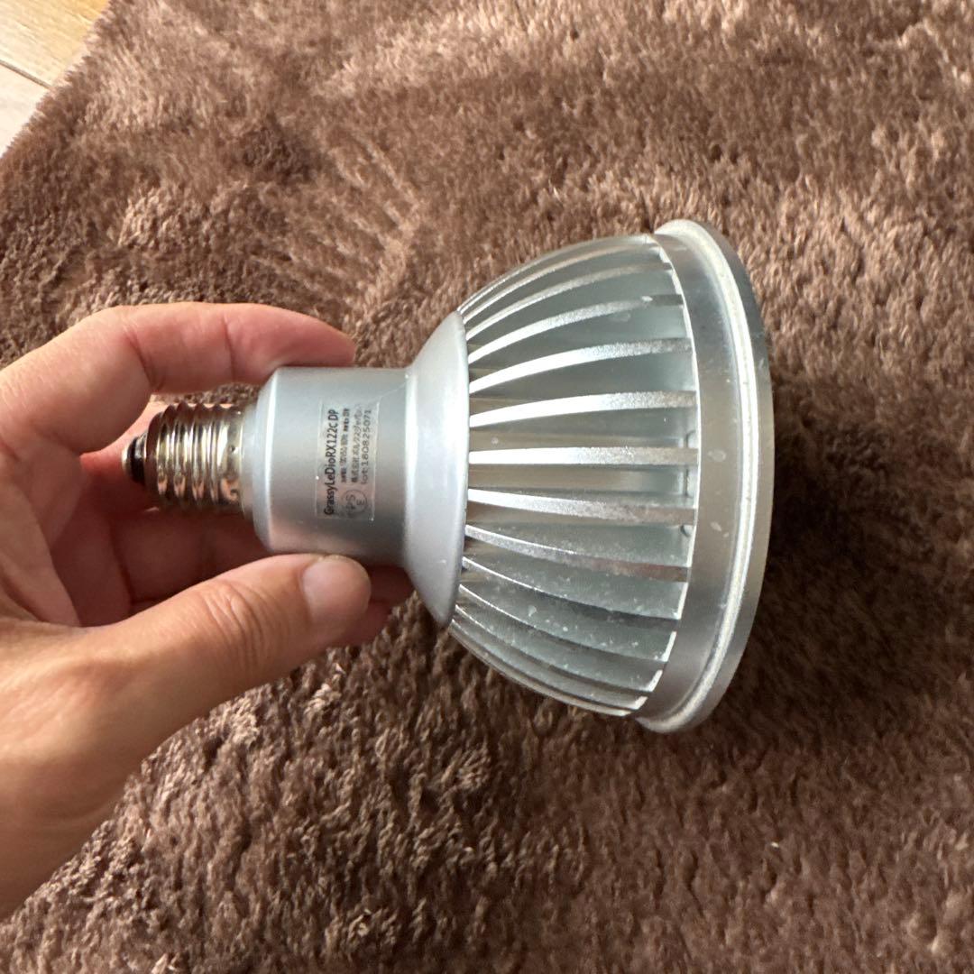 Grassy LeDioRX122c.DP 交換球