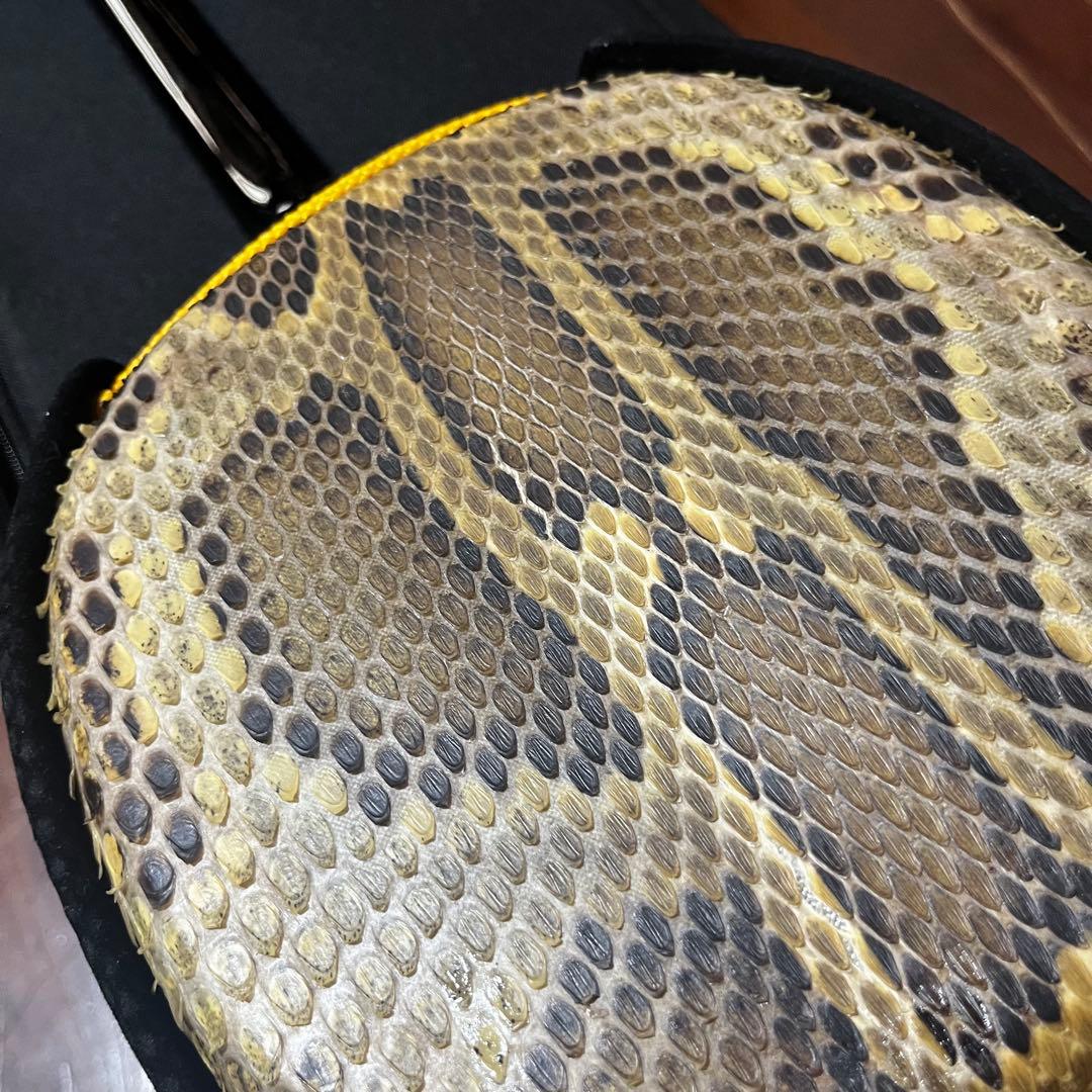 ヘビ皮沖縄三味線 （練習用）ケース付き