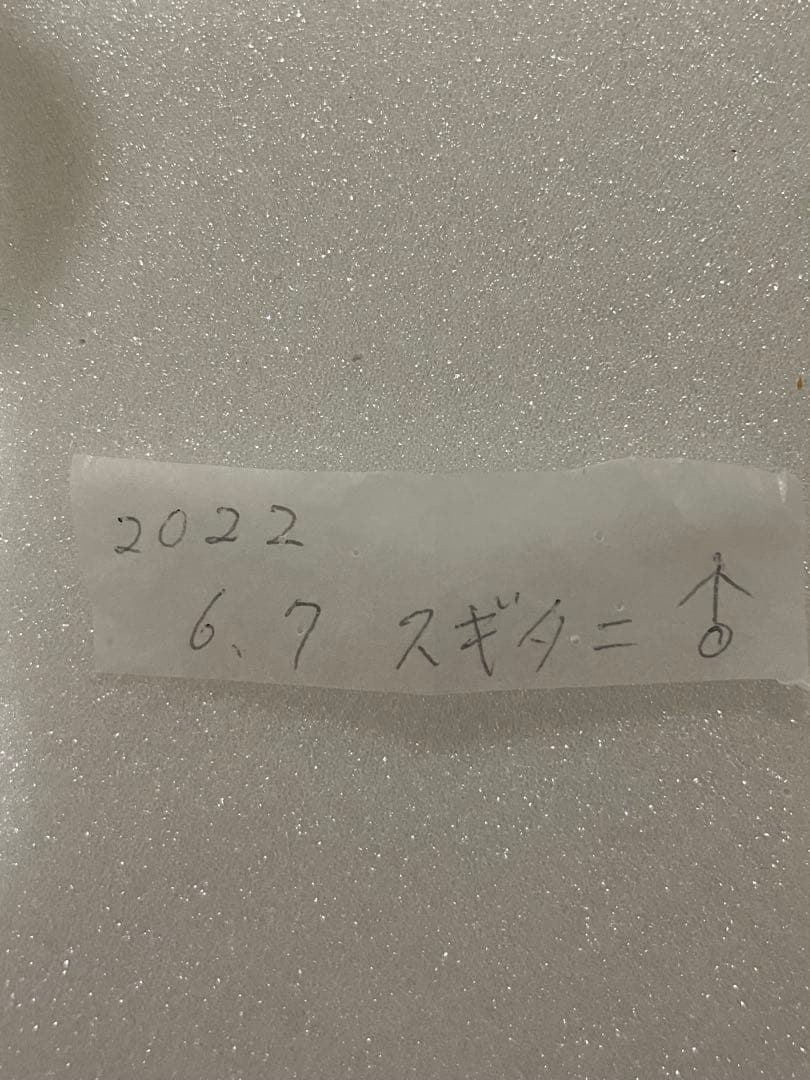 モルフォオオムラサキ（オス、滋賀県）