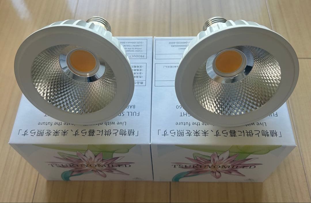 TSUKUYOMI LEDライト10W 2個セット