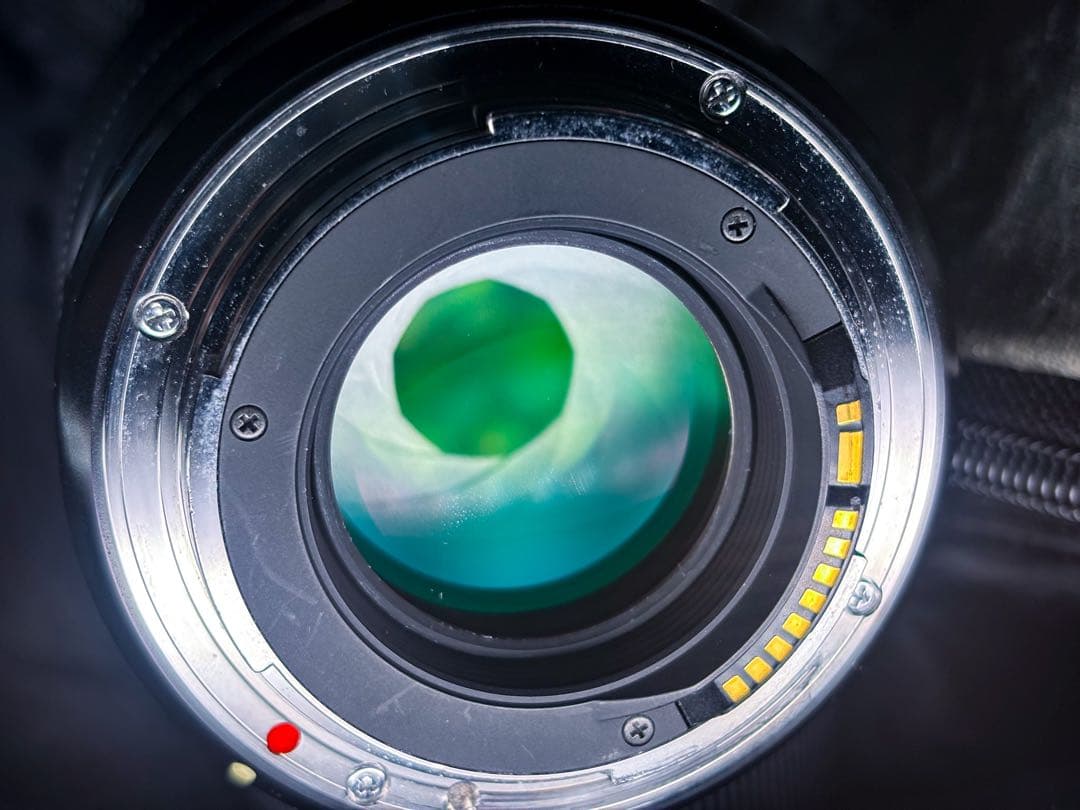 レンズ(単焦点) Fajar MaulanaSIGMA 50mmF1.4DGHSM art