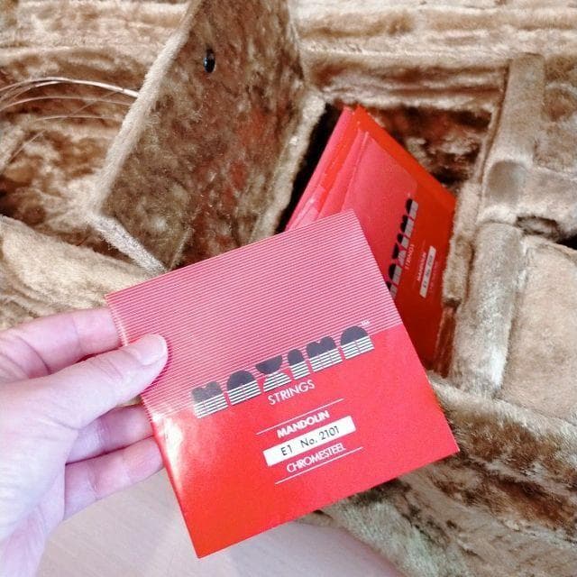 マンドリン　S.Watanabe 渡辺精次 高級　ハードケース付