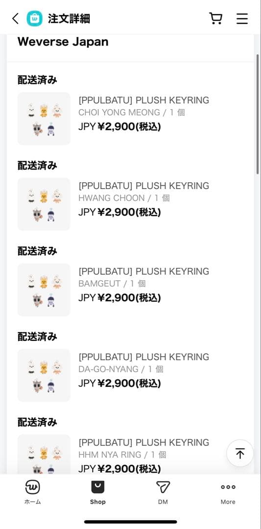 【公式】TXT PPULBATU プルバトゥ キーリング他